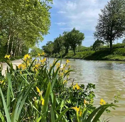 Σπίτι διακοπών Chez Luis Et David Avignonet-de-Lauragais